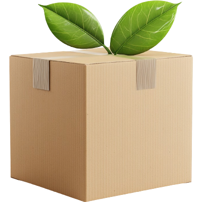recyclable box used for Moonbump orders